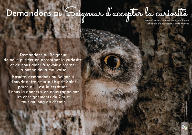 prière curiosité