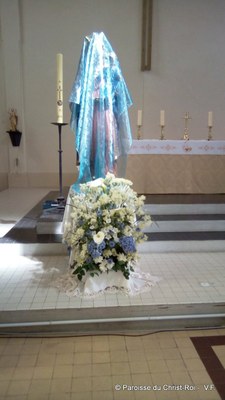 IMG 20190608 1105451