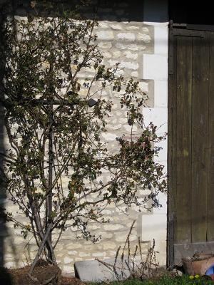 Croix Marnay, Poilly (propriété privée)