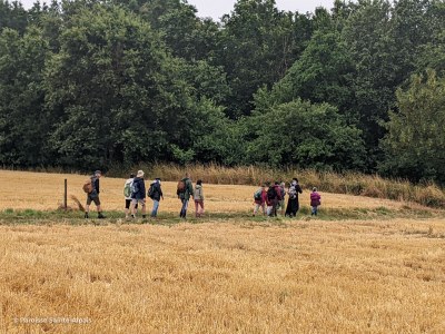 PXL 20230701 093731740