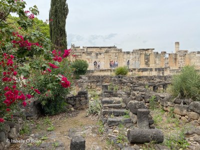 IMG 9964synogogue Capharnaum