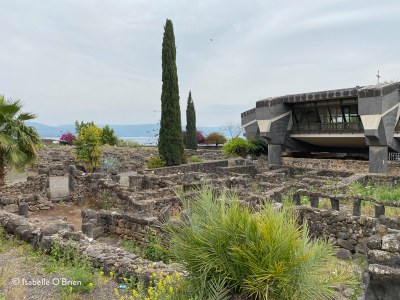 IMG 9965Capharnaum