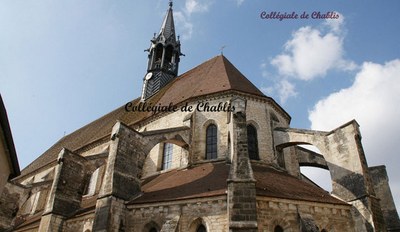 2010-03-15-eglise chablis-159.JPG