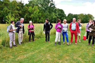 email1654765075111 compress82