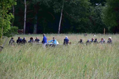 email1654765205636 compress79