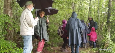 Pélerinage Sainte Alpais 2021   Bosset (1)