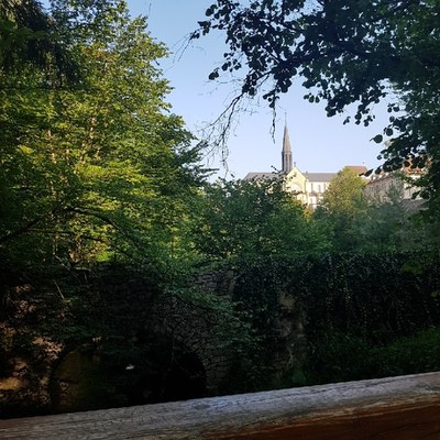 20210826 100410 resize 17