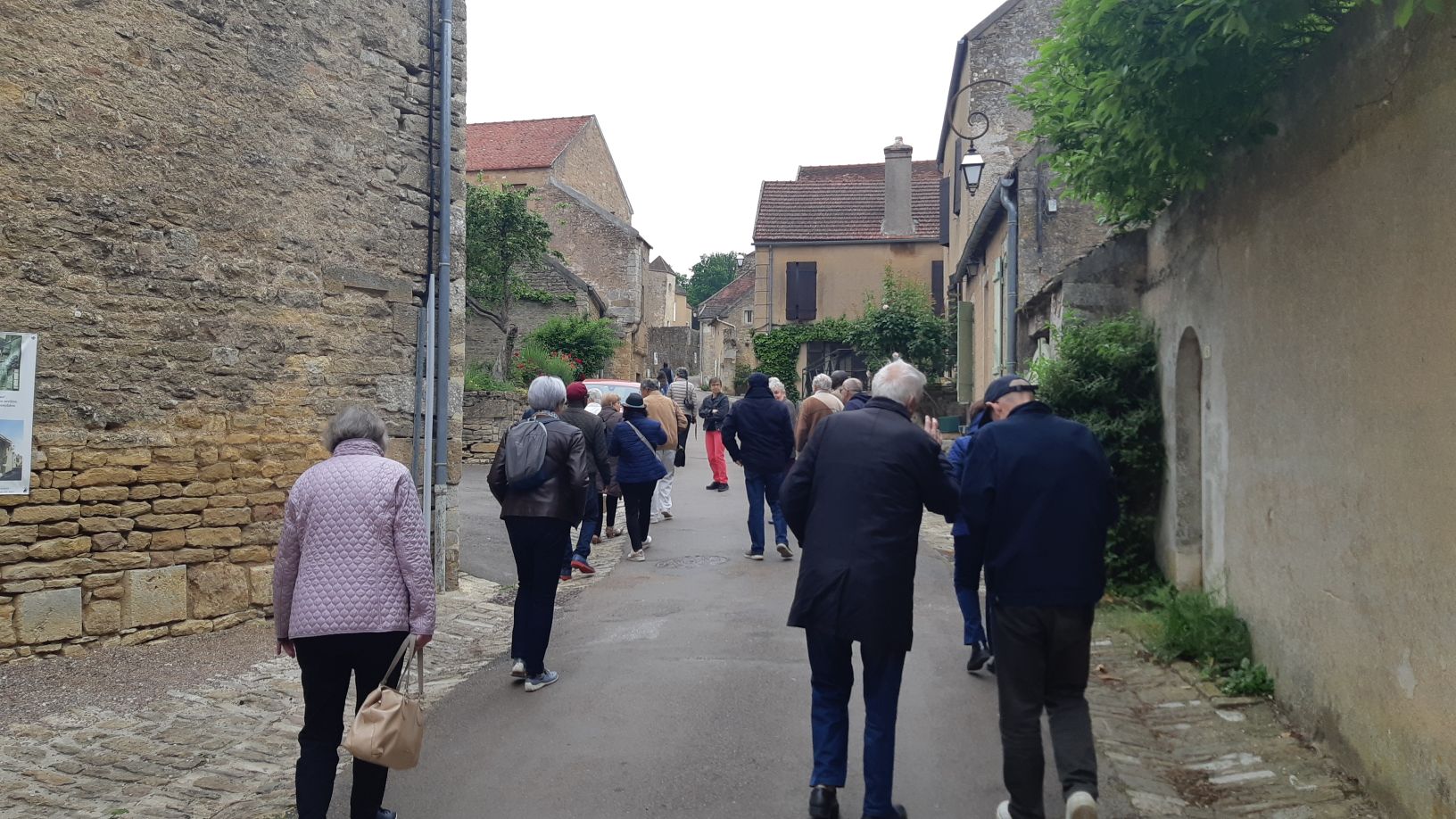 Resized 20250517 103552[1]