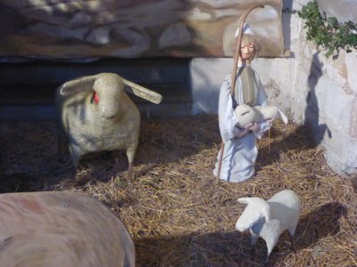 2019 crèche St Martin  (7)