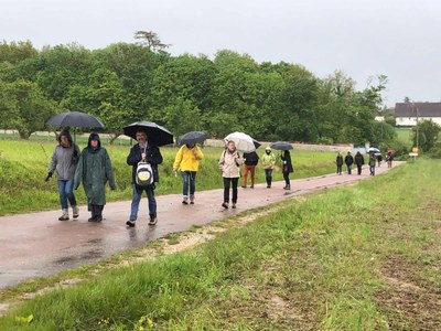 Marche a Dannemoine_rvt